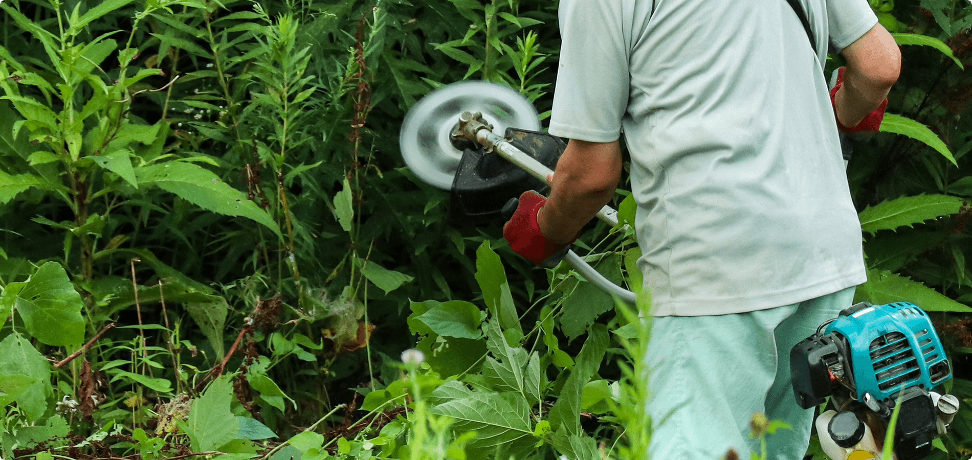 皆様のお困りごとに、まっすぐに。「頼みやすさ」が自慢の造園屋 有限会社岸山産業