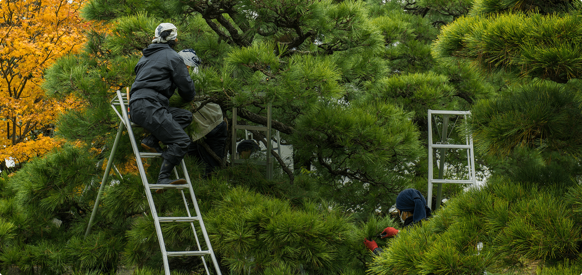 皆様のお困りごとに、まっすぐに。「頼みやすさ」が自慢の造園屋 有限会社岸山産業